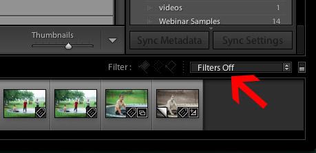 Cómo utilizar filtros de biblioteca para ordenar y administrar sus imágenes en Lightroom