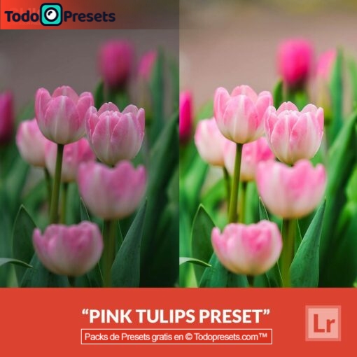 Tulipanes rosados ??Presets de Lightroom gratis